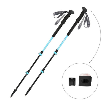 SIERRA metal walking poles + light